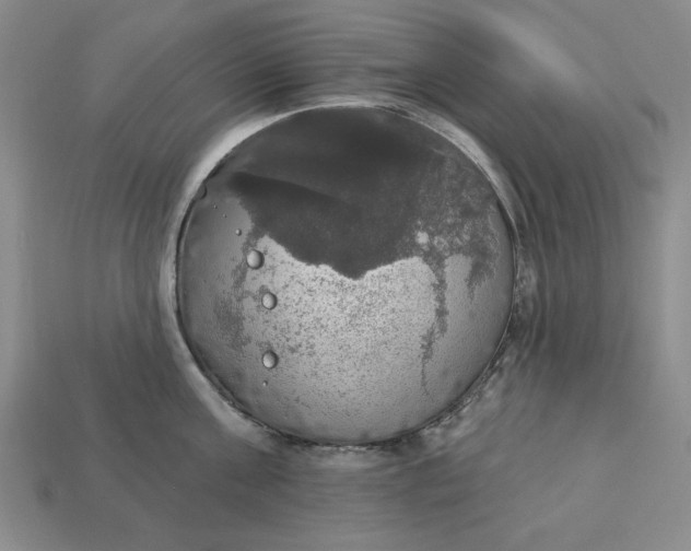 X0000112910811200909141250