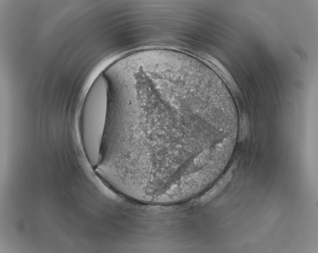 X0000112910812200909141250