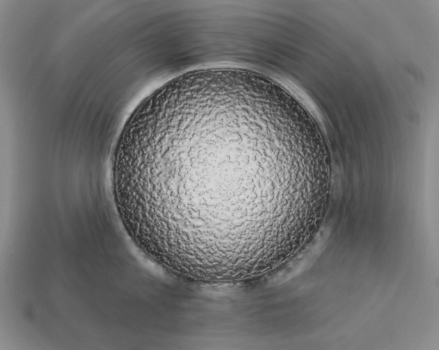 X0000112910813200909141250