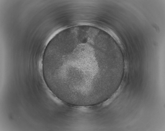 X0000112910814200909141250