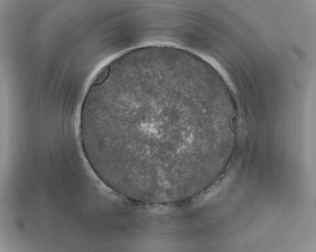 X0000112910815200909141250