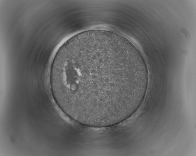 X0000112910816200909141250