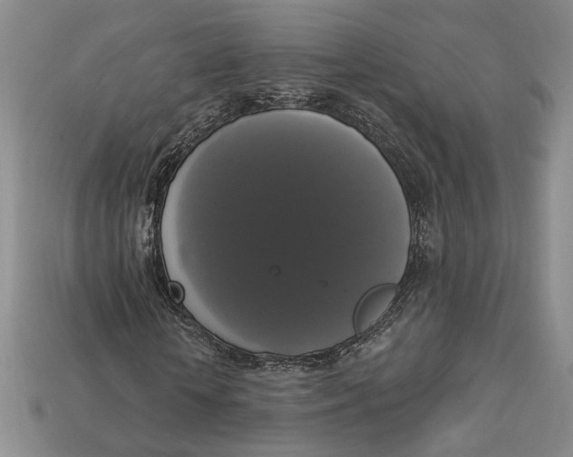 X0000112910818200909141249