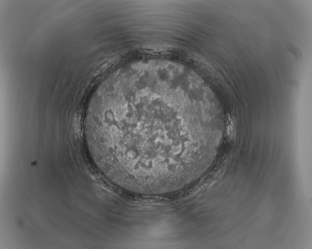 X0000112910819200909141249