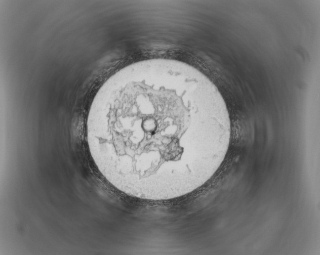 X0000112910820200909141249