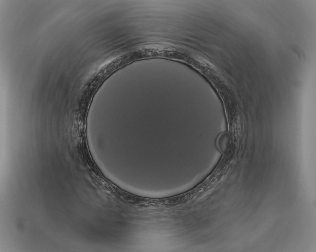 X0000112910822200909141249