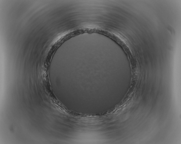 X0000112910823200909141249