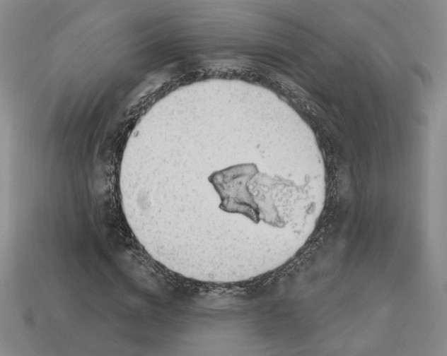 X0000112910824200909141249