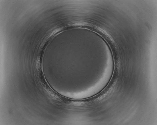 X0000112910825200909141249