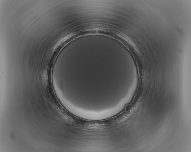 X0000112910826200909141249