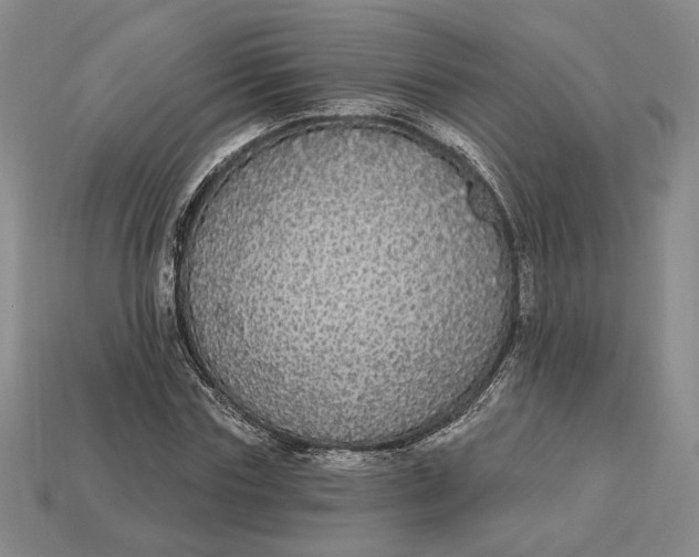 X0000112910827200909141249