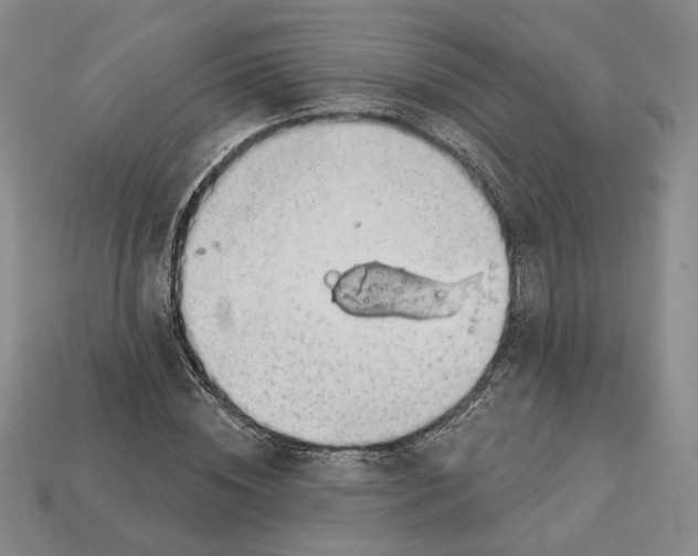 X0000112910828200909141249