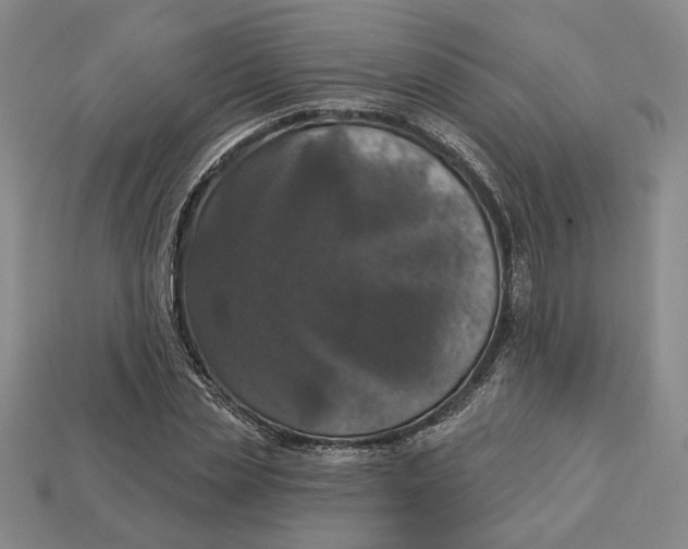 X0000112910829200909141249