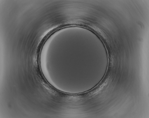 X0000112910830200909141249