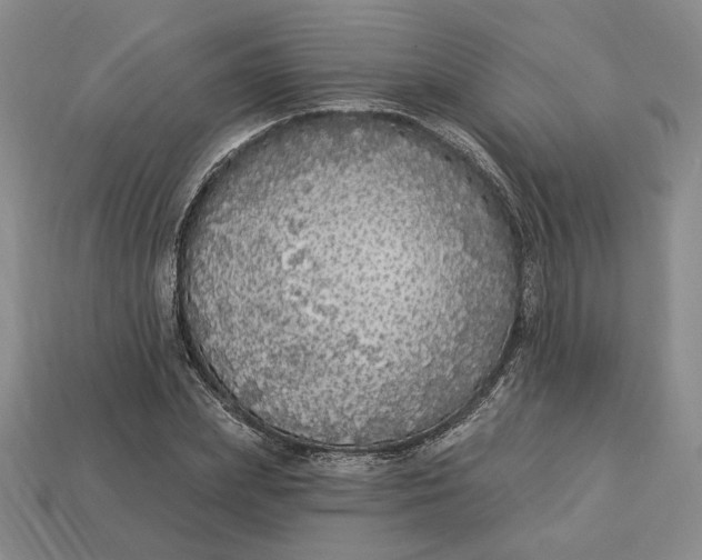 X0000112910831200909141249