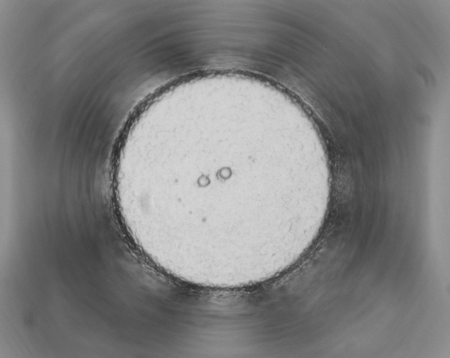 X0000112910832200909141249