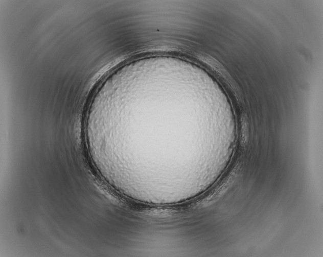 X0000112910834200909141249