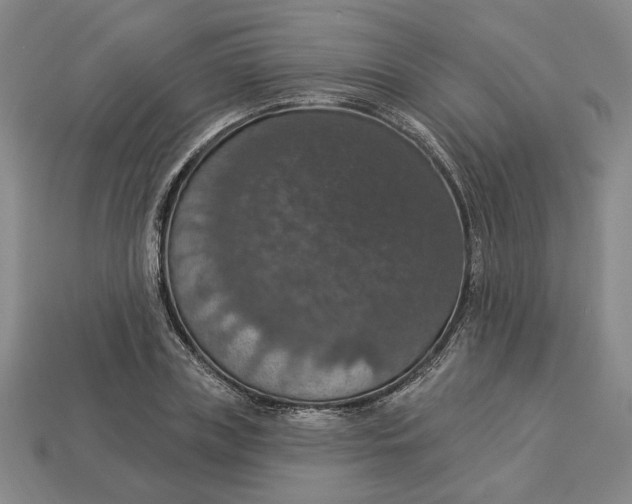 X0000112910835200909141249