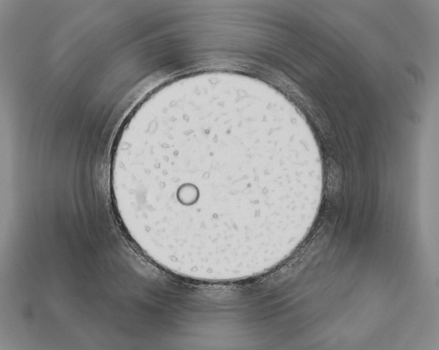 X0000112910836200909141249