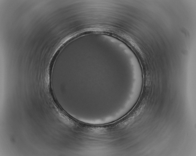 X0000112910837200909141249