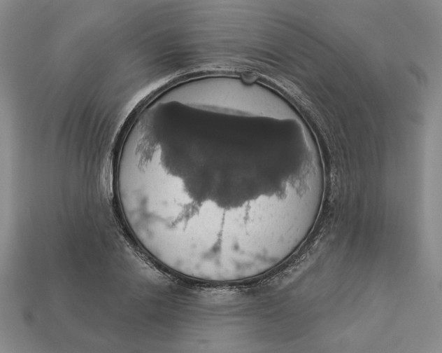 X0000112910838200909141249