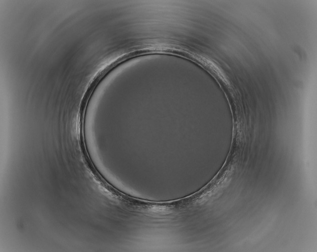 X0000112910839200909141249