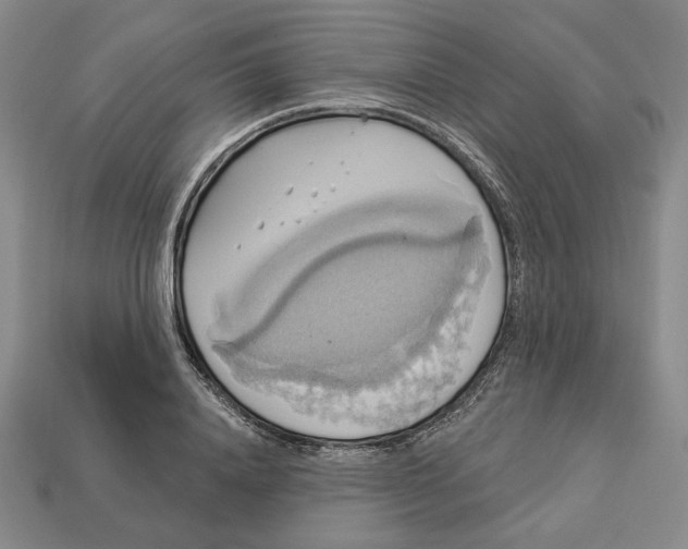 X0000112910840200909141249