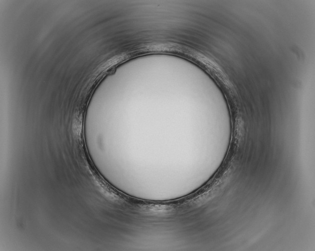 X0000112910841200909141249