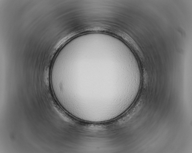 X0000112910842200909141249