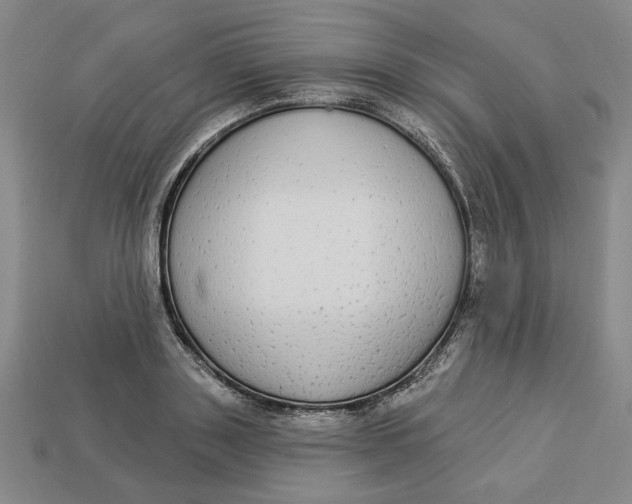 X0000112910843200909141249