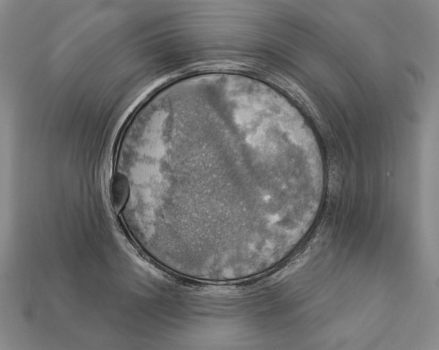 X0000112910844200909141249