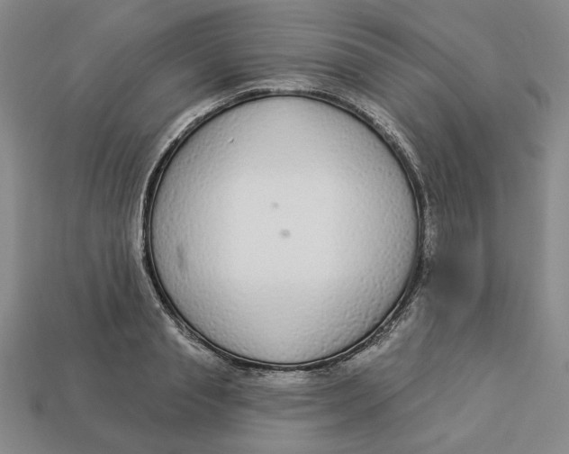 X0000112910845200909141249