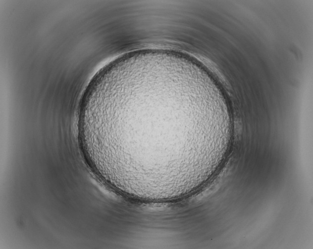 X0000112910846200909141249