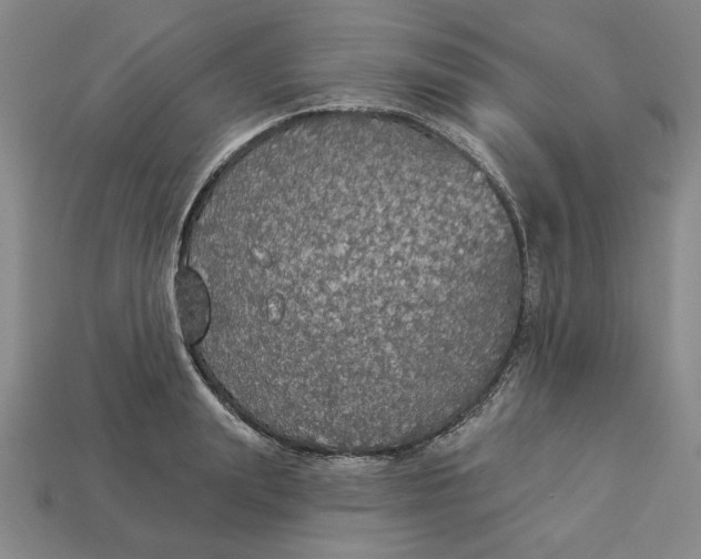 X0000112910847200909141249