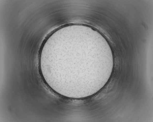 X0000112910848200909141249