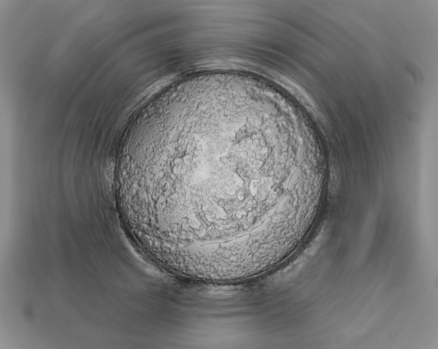 X0000112910849200909141249