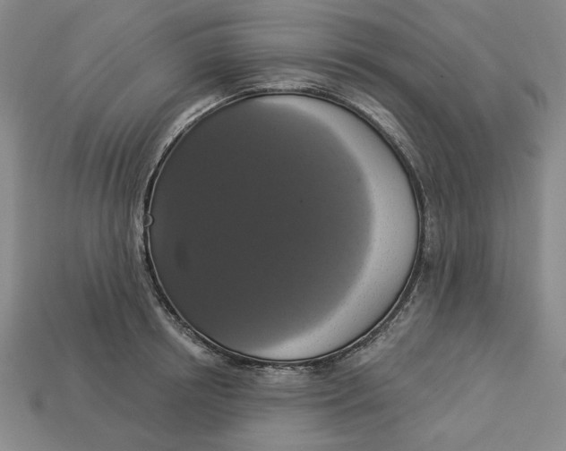 X0000112910850200909141249