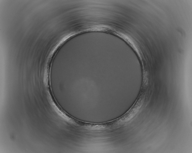 X0000112910851200909141249