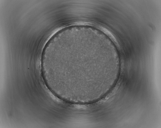 X0000112910852200909141249