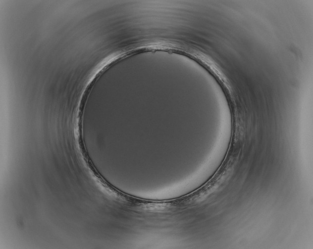 X0000112910853200909141249