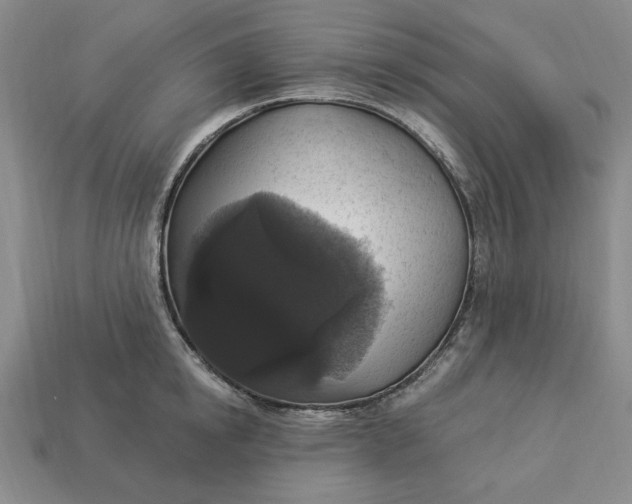 X0000112910854200909141249