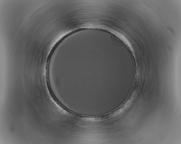 X0000112910855200909141249