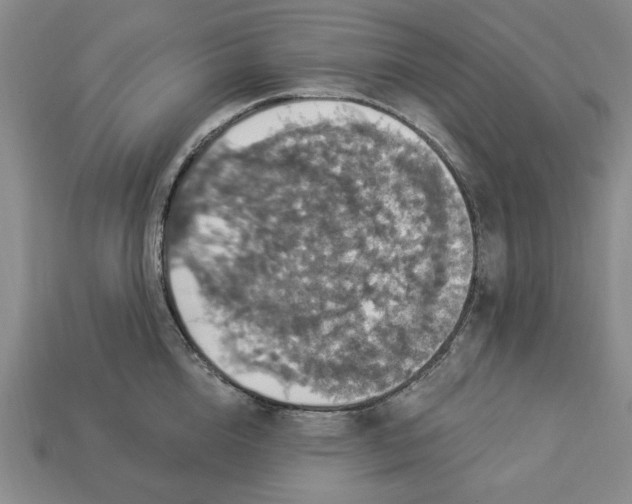 X0000112910856200909141249