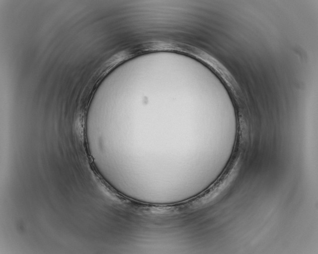 X0000112910857200909141249