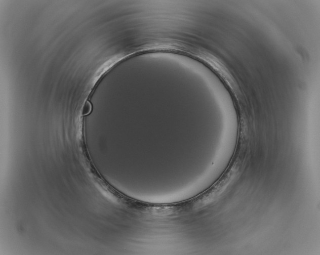 X0000112910858200909141249