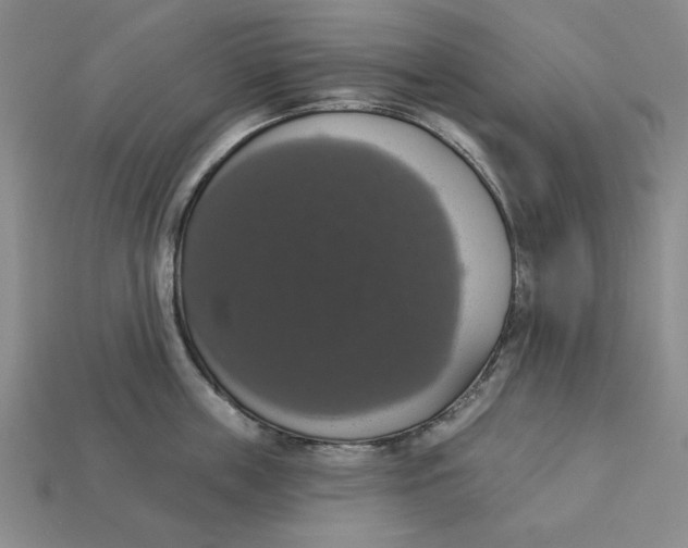 X0000112910859200909141250