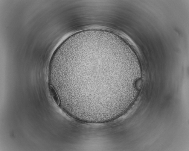 X0000112910860200909141250