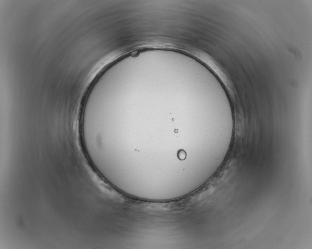 X0000112910861200909141250