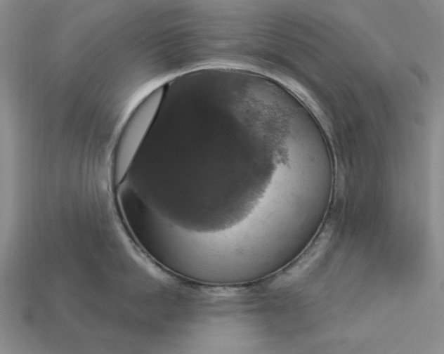 X0000112910862200909141250