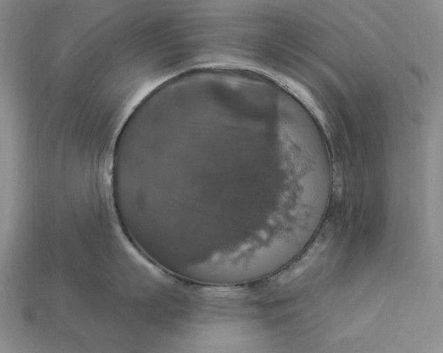 X0000112910863200909141250